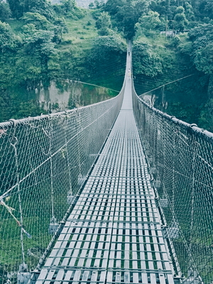 Suspension bridge surrounded by forest in Pokhara